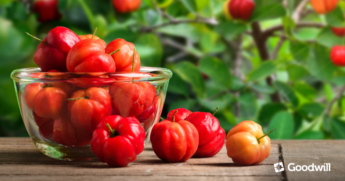 Acerola, a szupergyümölcs - erős antioxidáns, a Fortacell Immuno+ Junior egyik fő összetevője